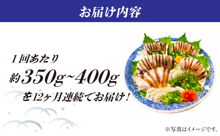 【12回定期便】高知県産 ウツボのタタキ 約350g~約400g 総計約4.2kg〜約4.8kg 【株式会社 四国健商】 [ATAF142]