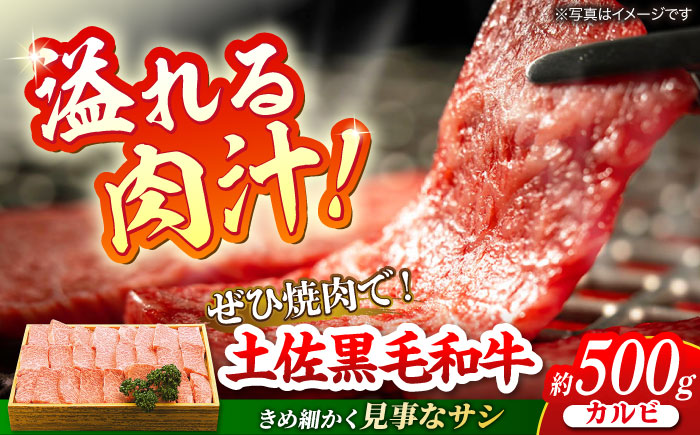 土佐黒毛和牛 カルビ 焼き肉 約500g 【有限会社　蔵多堂】 [ATAE012]