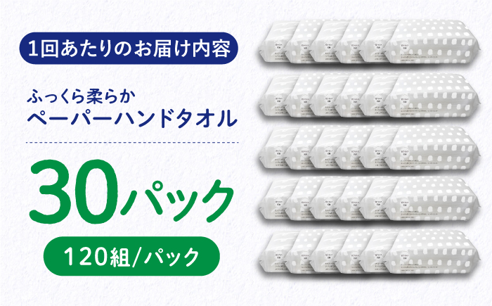 【6回定期便】隔月発送 抗ウイルス 抗菌成分 (VB) 配合ふっくら柔らかペーパーハンドタオル エンボス仕上げ 120組 (240枚) ×30パック 【河野製紙株式会社】 [ATAJ017]