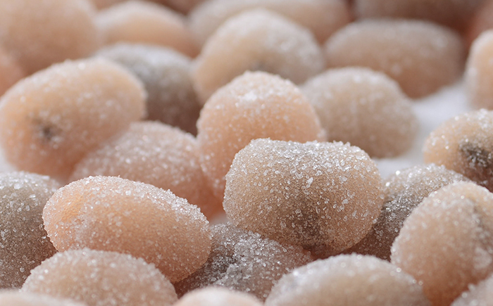 西川屋 元祖ケンピ・梅不しセット 〈元祖けんぴ1箱・梅不し各6個入り×2箱〉 / けんぴ 芋ケンピ 芋 ケンピ おやつ さつまいも さつま芋 梅不し 和菓子 芋スイーツ 高知県 高知 【西川屋老舗】 [ATHS009]