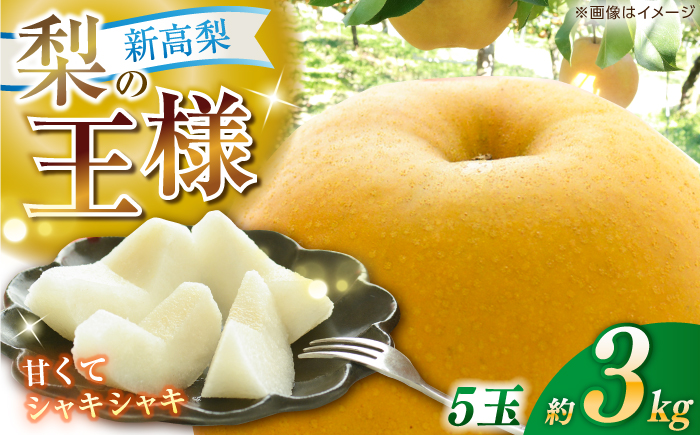 【先行予約】 新高梨 約3kg（5玉） 〈2026年9月20日〜10月末発送〉 / 高知 針木 新高梨 梨 和梨 果物 フルーツ デザート 【川渕果樹園】 [ATHX002]