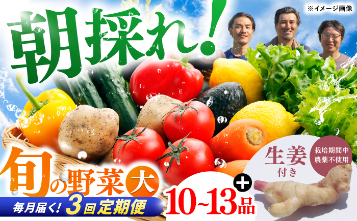 【3回定期便】土佐の太陽をいっぱいに浴びた旬の野菜と生姜約100gのセット「大」 (3回配送)【土佐野菜】 [ATBA014]