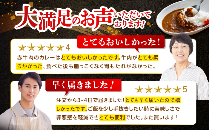 高知土佐あかうしビーフカレー 10食セット レトルト カレー あか牛 土佐あかうし 牛肉 牛カレー 保存食 常備 人気 おすすめ 高知市 【株式会社 四国健商】 [ATAF053]