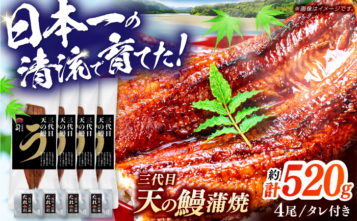 土佐料理司 三代目天の鰻蒲焼4尾セット (高知市春野町産) / 鰻 うなぎ ウナギ 蒲焼 うな重 国産 高知市 【株式会社土佐料理司】 [ATAD091]