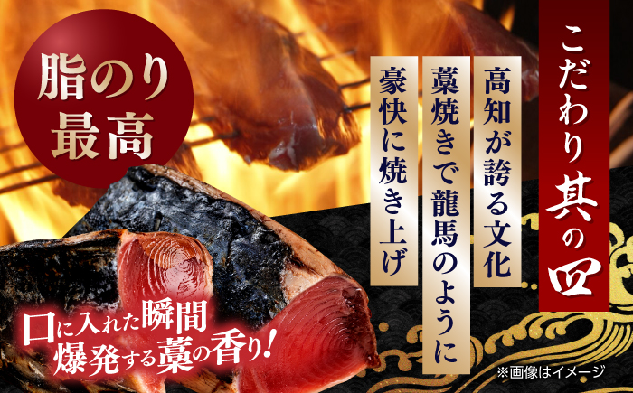 一本釣り龍馬鰹たたき 約600g かつお カツオ わらやき 高知 【株式会社 七和】 [ATAX001]