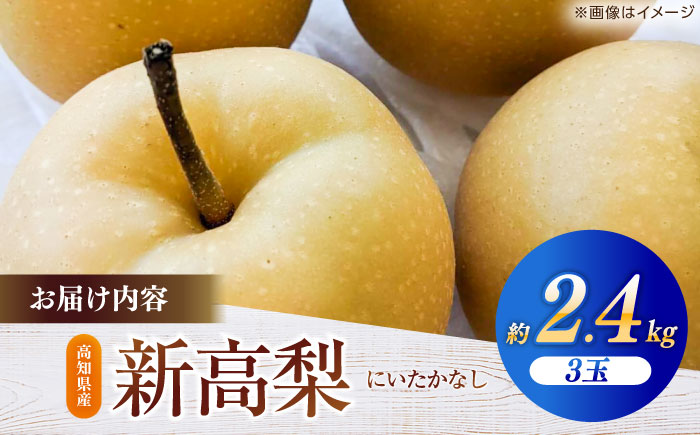 【先行予約】 新高梨 秀 約2.4kg（3玉） 〈2026年9月20日～2026年10月末発送〉 【川渕果樹園】 [ATHX006]