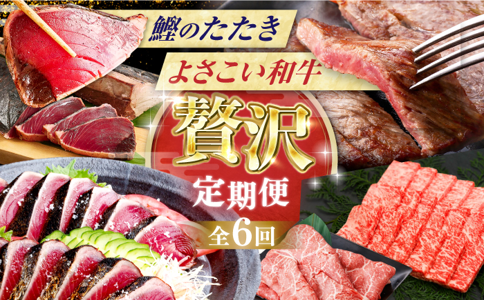 【6回定期便】カツオと和牛の赤身定期便〈2025年2月から発送開始〉/カツオ 食べ比べ 鰹のセット 土佐和牛 牛肉 高知市 こだわりのかつお [ATZX019]