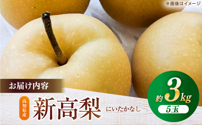 【先行予約】 新高梨 約3kg（5玉） 〈2026年9月20日〜10月末発送〉 / 高知 針木 新高梨 梨 和梨 果物 フルーツ デザート 【川渕果樹園】 [ATHX002]