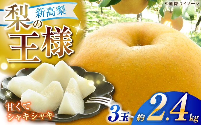 【先行予約】 新高梨 秀 約2.4kg（3玉） 〈2026年9月20日～2026年10月末発送〉 【川渕果樹園】 [ATHX006]