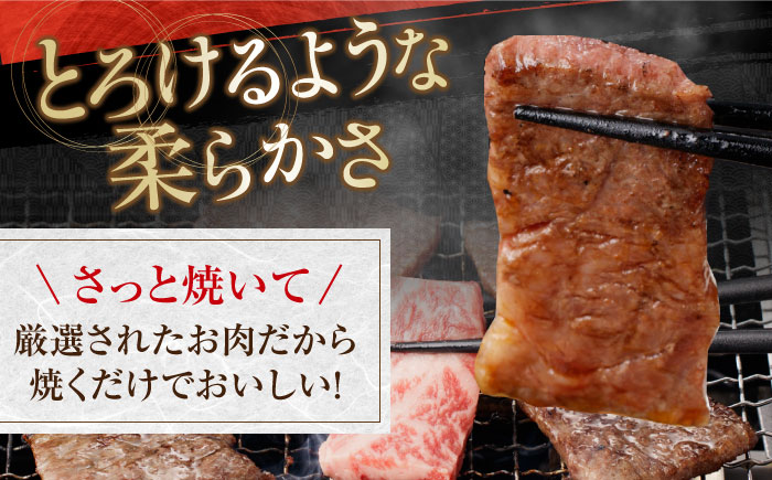 高知県産 よさこい和牛 すき焼き 焼肉セット 各種約700g 総計約1.4kg 牛肉 すきやき 焼き肉 BBQ A4 A5 国産 【(有)山重食肉】 [ATAP039]