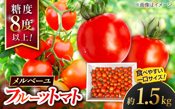 高知県産 フルーツトマト メルベーユ 約1.5kg / 高糖度 トマト とまと フルーツトマト 野菜 【株式会社　四国健商】 [ATAF071]