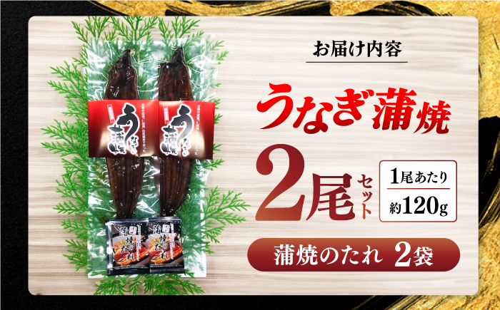 奇跡の清流「仁淀川」水系の水で育てた高知県産「うなぎ蒲焼」２尾セット