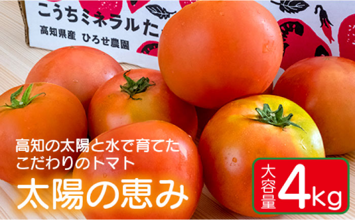 大容量4kg 高知の太陽と水で育てたこだわりのトマト「太陽の恵み」!! 【株式会社　羽根】 [ATCK001]
