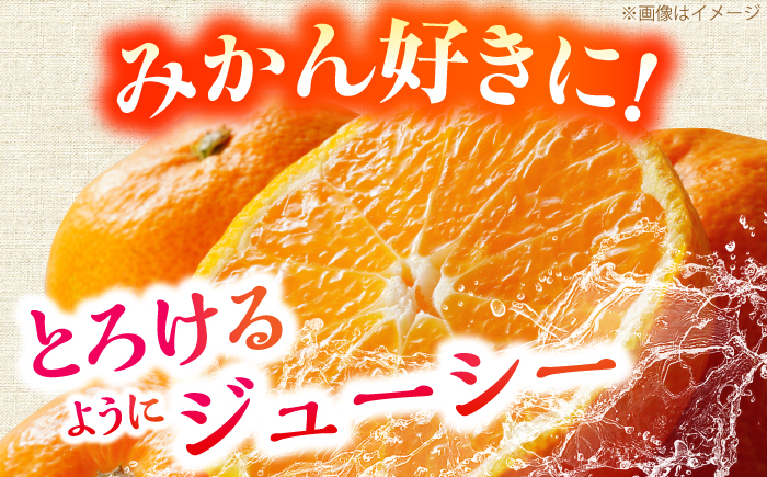 【先行予約】＜サイズおまかせ＞高知県産温州みかんA級品 約3kg ＜2026年11月上旬～2026年12月下旬頃発送＞/ みかん 柑橘 オレンジ 高知県 温州 【株式会社にしごみ】 [ATEA010]