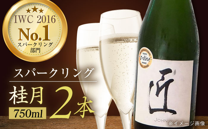 土佐酒造 桂月 スパークリング酒 匠 (ジョン) 750ml 2本 日本酒 地酒 【近藤酒店】 [ATAB074]