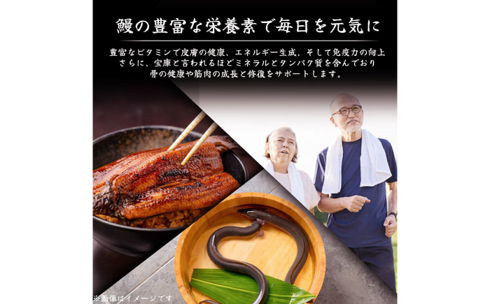 高知県産 うなぎ 長蒲焼1尾 約160g×1 (1〜2人前)/ 鰻 ウナギ 土用丑の日 高知産 うなぎ 【土佐黒潮水産】 [ATCQ011]