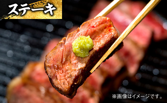 エイジング工法 熟成肉 土佐あかうし 特選赤身 ブロック 約300g 冷凍 【株式会社LATERAL】 [ATAY010]