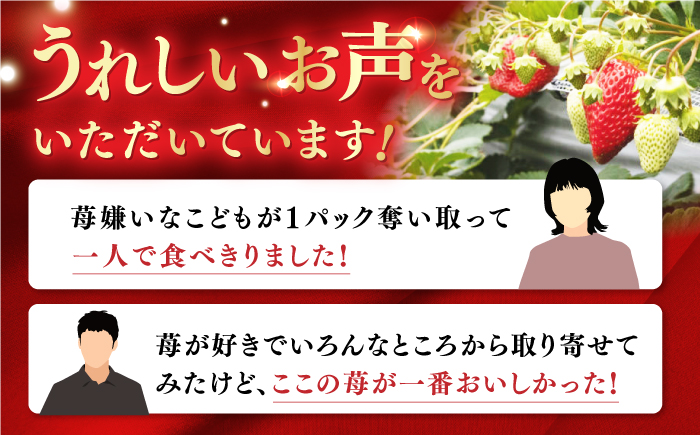 【先行予約】煌稀の果実 高知市春野町産 苺 特大 (約600g 9または12粒) ＜2025年1月 から発送開始＞ 【森強のいちご農園】 [ATAS002]