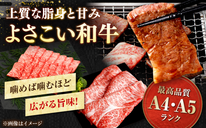 【4回定期便】カツオと和牛の赤身定期便〈2025年1月から発送開始〉 /カツオ 食べ比べ 鰹のセット 土佐和牛 牛肉 高知市 こだわりのかつお [ATZX018]