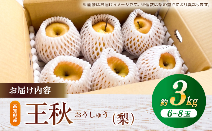 【先行予約】 王秋 約3kg（6～8玉） 〈2026年11月上旬～2026年12月10日〉 / 高知 王秋 梨 和梨 果物 フルーツ デザート 【川渕果樹園】 [ATHX007]