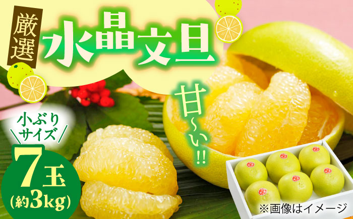 【先行予約】 厳選・水晶文旦 約3kg（小ぶりサイズ7玉入り）〈2026年10月初旬〜2026年11月下旬頃発送〉 / 文旦 水晶文旦 3kg 小ぶり 7玉 柑橘 果物 フルーツ デザート 季節限定 期間限定 【L＋武田青果】 [ATIT004]