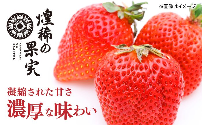 【先行予約】煌稀の果実 高知市春野町産 苺 特大 (約600g 9または12粒) ＜2025年1月 から発送開始＞ 【森強のいちご農園】 [ATAS002]