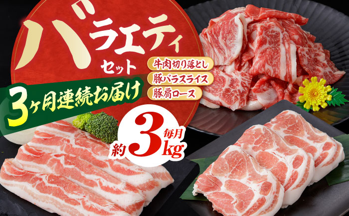 【3回定期便】お肉の定期便 バラエティセット (3ヵ月) 総計約9kg 国産 牛肉 切り落とし 豚肉 バラ 肩ロース 【(有)山重食肉】[ATAP076]