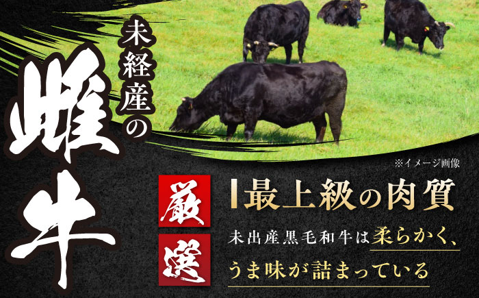 高知 黒毛和牛 ステーキ 約250g×2枚 / 高知 お肉 牛肉 牛 サーロイン 贈答 ギフト 贅沢 【焼肉寛十郎】 [ATDO011]