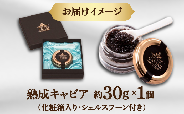 高知産熟成キャビア30g (化粧箱) シェルスプーン付Black Jewel 【興洋フリーズ株式会社】 [ATBX010]