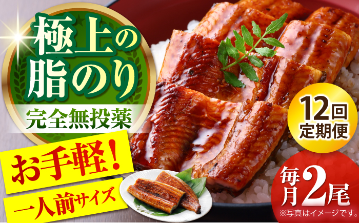 【12回定期便】高知県産 うなぎ蒲焼き 約90g×2尾 タレ付き 【株式会社 四国健商】 [ATAF148]