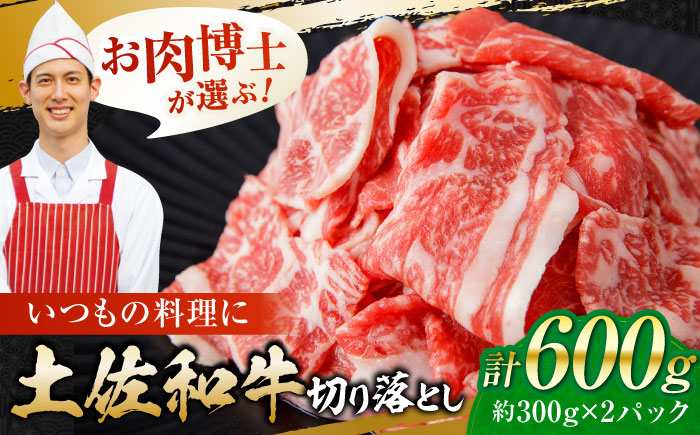 高知県産 土佐和牛 切り落とし 炒め物 すき焼き用 約300g×2 総計約600g 国産 牛肉 切落し すきやき 【(有)山重食肉】 [ATAP079]