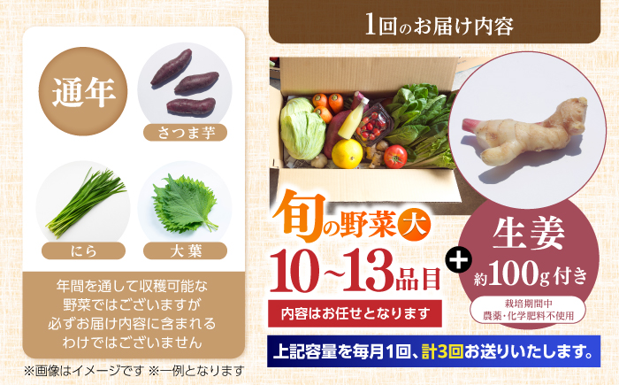 【3回定期便】土佐の太陽をいっぱいに浴びた旬の野菜と生姜約100gのセット「大」 (3回配送)【土佐野菜】 [ATBA014]