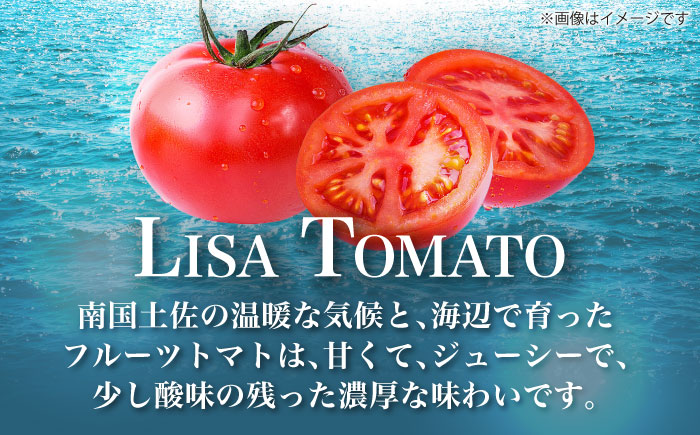 【先行予約】リサフルーツトマト 約2kg トマト とまと 野菜〈2025年1月より発送開始〉  【株式会社 堀】 [ATDA003]