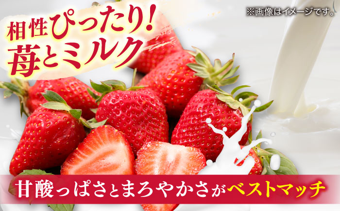 苺とミルクのアイスキャンデー 20本入 / 久保田食品 アイス  アイスクリーム  菓子 【グレイジア株式会社】 [ATAC213]