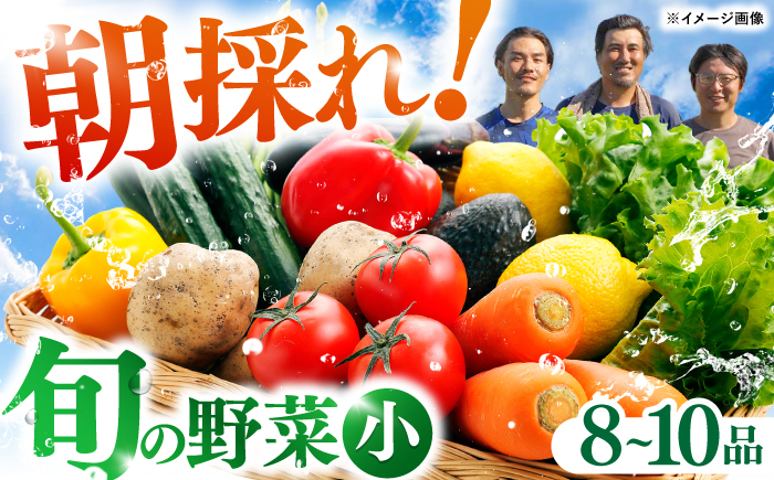 【栽培期間中農薬・化学肥料不使用】土佐の太陽をいっぱいに浴びた旬の野菜セット「小」【土佐野菜】 [ATBA001]