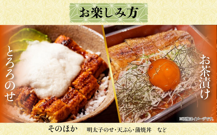 【ご贈答用】 桐箱入り高知焼き 高級 鰻 蒲焼2尾 〈熨斗対応可能〉〈2025年11月～発送〉 / うなぎ 鰻蒲焼き ウナギかば焼き 贈答 【鰻HASHIMOTO】 [ATDX003]