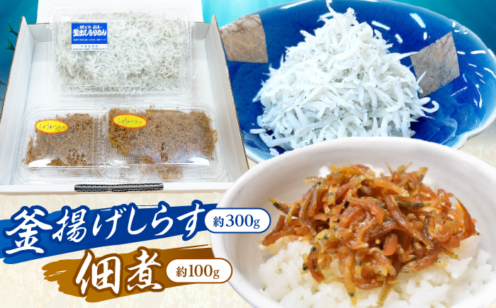 釜揚げしらす（約300g）と佃煮（約100g）セット/森国商店 浜で瞬時に釜出し 高知のしらす【グレイジア株式会社】 [ATAC488]