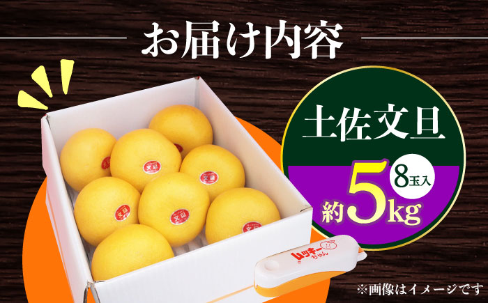 【先行予約】南国高知温室土佐文旦 約5kg 8玉 文旦 ぶんたん フルーツ 果物 5キロ 高知県 【フルーツショップオザキ】 [ATAH015]