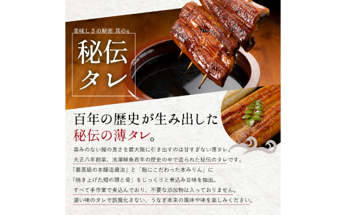 完全無投薬 仁淀川の伏流水で育てた贅沢うなぎ蒲焼き 中 (約150g×3尾 ) ギフトセット 池澤鮮魚 【池澤鮮魚オンラインショップ】 [ATBE018]