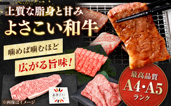 【6回定期便】カツオと和牛の赤身定期便〈2025年2月から発送開始〉/カツオ 食べ比べ 鰹のセット 土佐和牛 牛肉 高知市 こだわりのかつお [ATZX019]