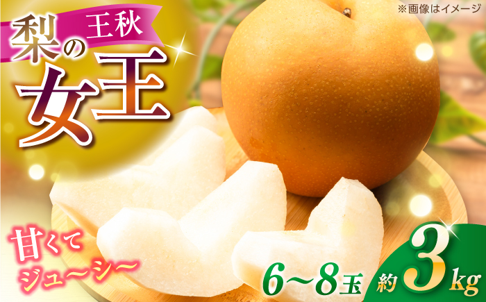 【先行予約】 王秋 約3kg（6～8玉） 〈2026年11月上旬～2026年12月10日〉 / 高知 王秋 梨 和梨 果物 フルーツ デザート 【川渕果樹園】 [ATHX007]