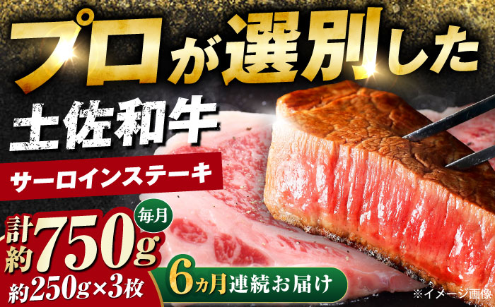 【6回定期便】土佐黒毛和牛 サーロインステーキ (約250g×3枚) 総計約4.5kg 【株式会社 四国健商】 [ATAF129]