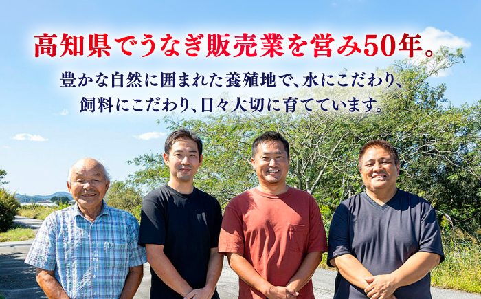 【3回定期便】 極上国産うなぎ四万十桜 蒲焼き3尾 たっぷり大サイズ / 国産 高知 四万十 うなぎ ウナギ 鰻 蒲焼き うな重 惣菜 贅沢 【有限会社もりた】 [ATHE006]