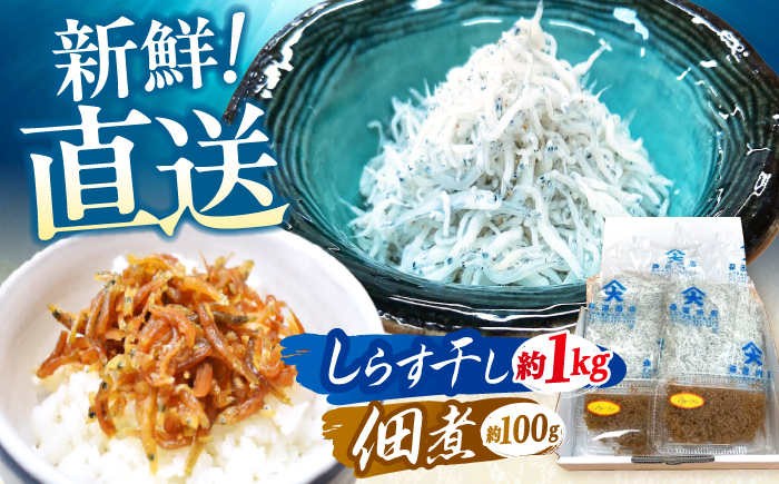 しらす干し（約1kg）と佃煮（約100g）セット/森国商店 浜で瞬時に釜出し 高知のしらす【グレイジア株式会社】 [ATAC486]