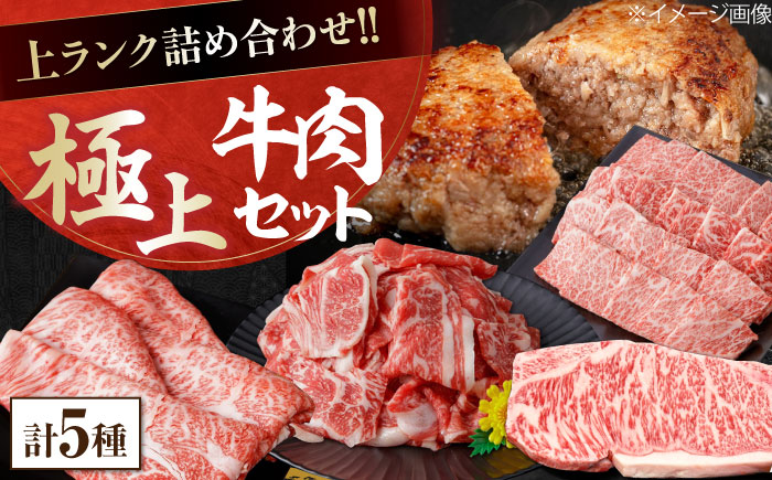 上ランク 牛肉詰め合わせ 総計約4.59kg 牛肉 国産 焼肉 焼き肉 すき焼き 切り落とし サーロインステーキ ハンバーグ 【(有)山重食肉】 [ATAP010]