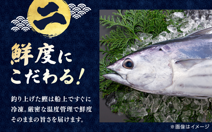 【6回定期便】明神水産 藁焼き鰹 (カツオ) たたき 2袋 (約500g) セット 総計約3kg 【株式会社 四国健商】 [ATAF135]