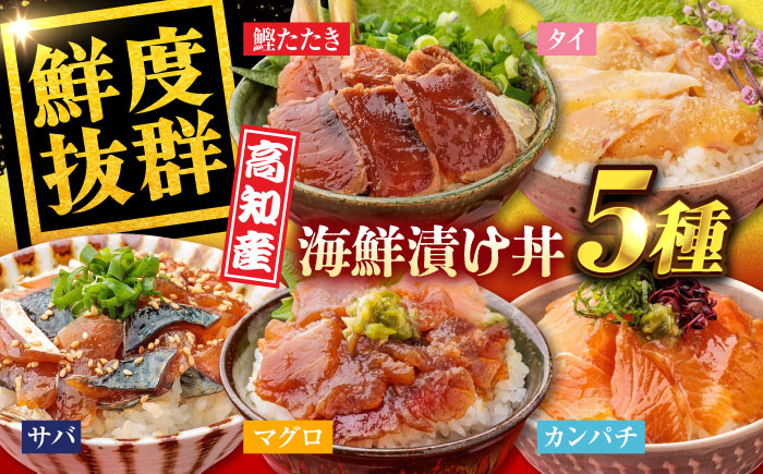 高知の魚5種類が味わえる海鮮漬け丼セット タイ マグロ カンパチ 鰹たたき サバ 【株式会社 七和】 [ATAX007]