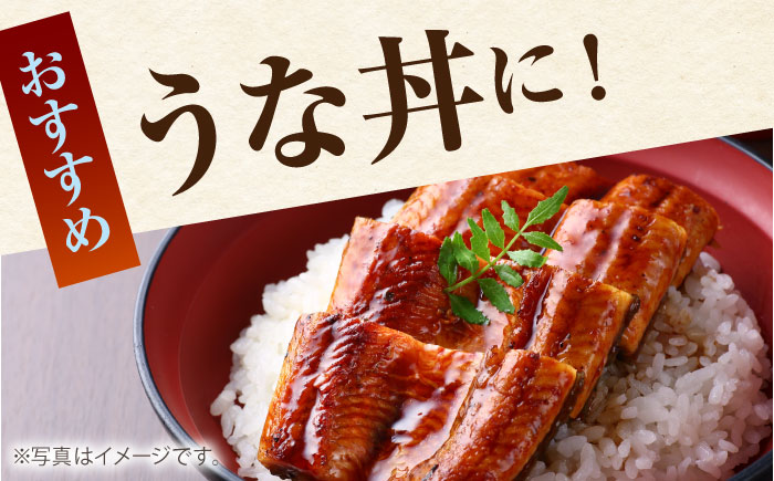 高知県産 うなぎ蒲焼き 約90g×2尾 タレ付き 【株式会社 四国健商】 [ATAF064]