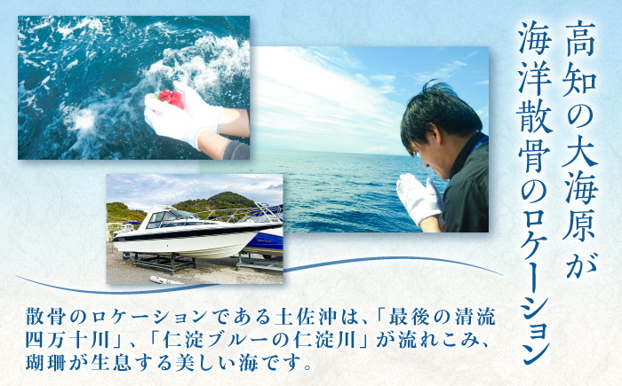 愛猫のための代行海洋散骨供養チケット 3000円分 (粉骨・散骨証明書・ブックレット付) / ペット供養 愛猫供養 猫 ねこ ネコ 海 埋葬 自然葬 葬儀 お別れ 弔い サービス 代行 委託 メモリアル 遺骨 粉骨 船 プラン 【龍馬カンパニー株式会社】 [ATID002]