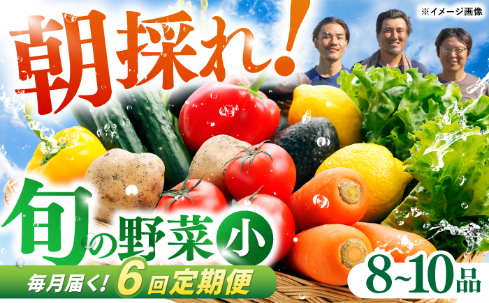 【6回定期便】 土佐の太陽をいっぱいに浴びた旬の野菜セット小 【土佐野菜】 [ATBA006]